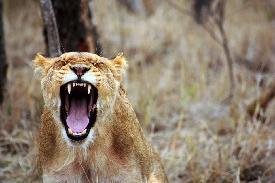 Transforming Anger energy into a form which can be used for Creation and positiveness